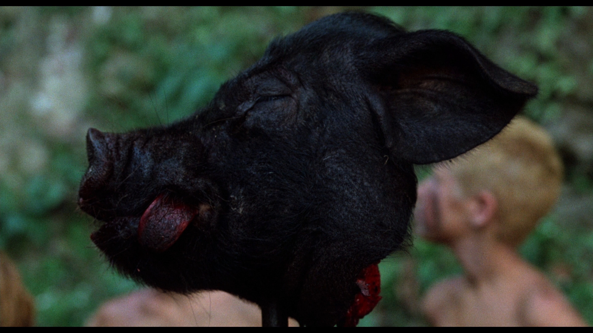 Lord Of The Flies The Pigs Head