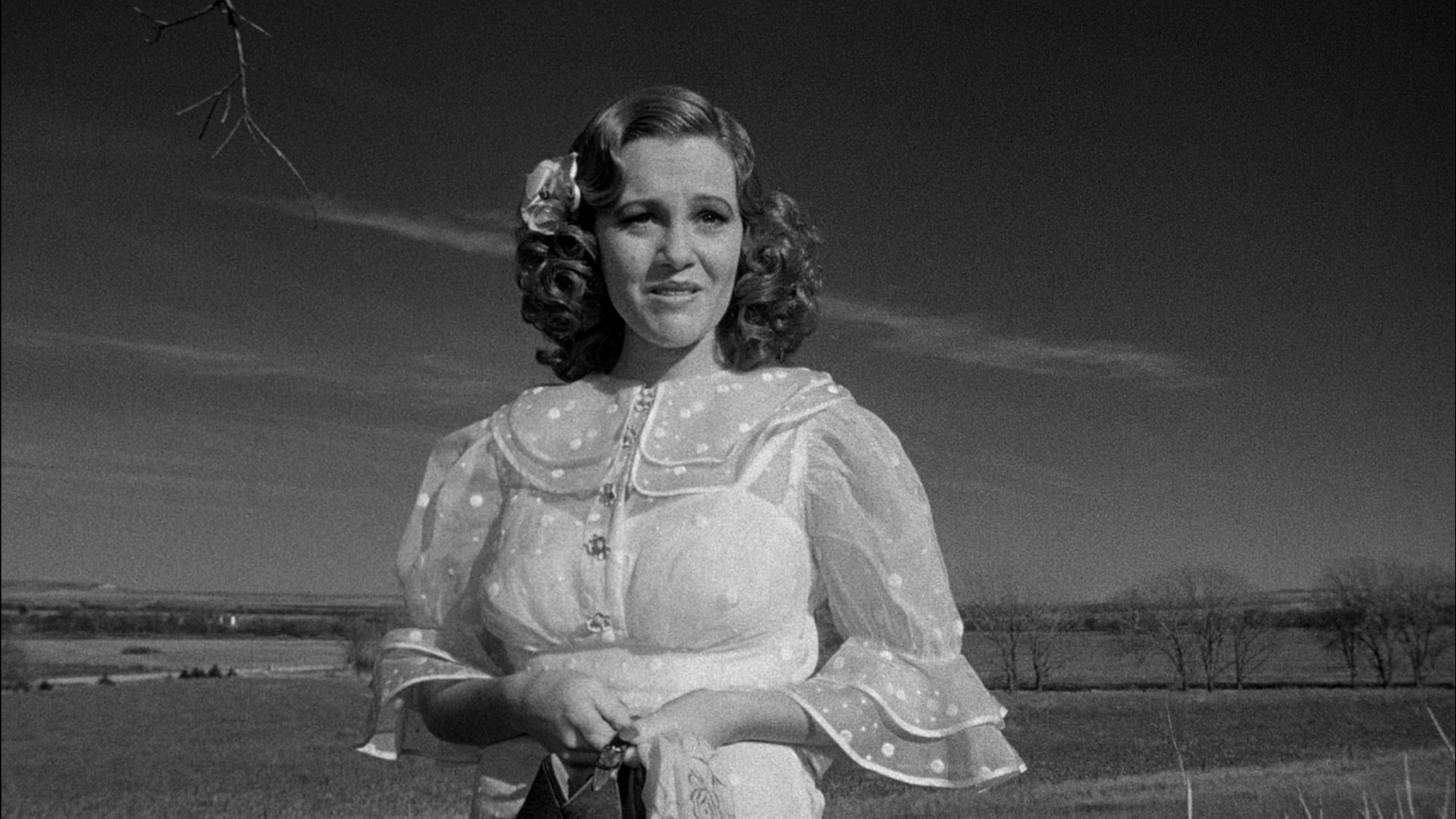 paper moon paper moon