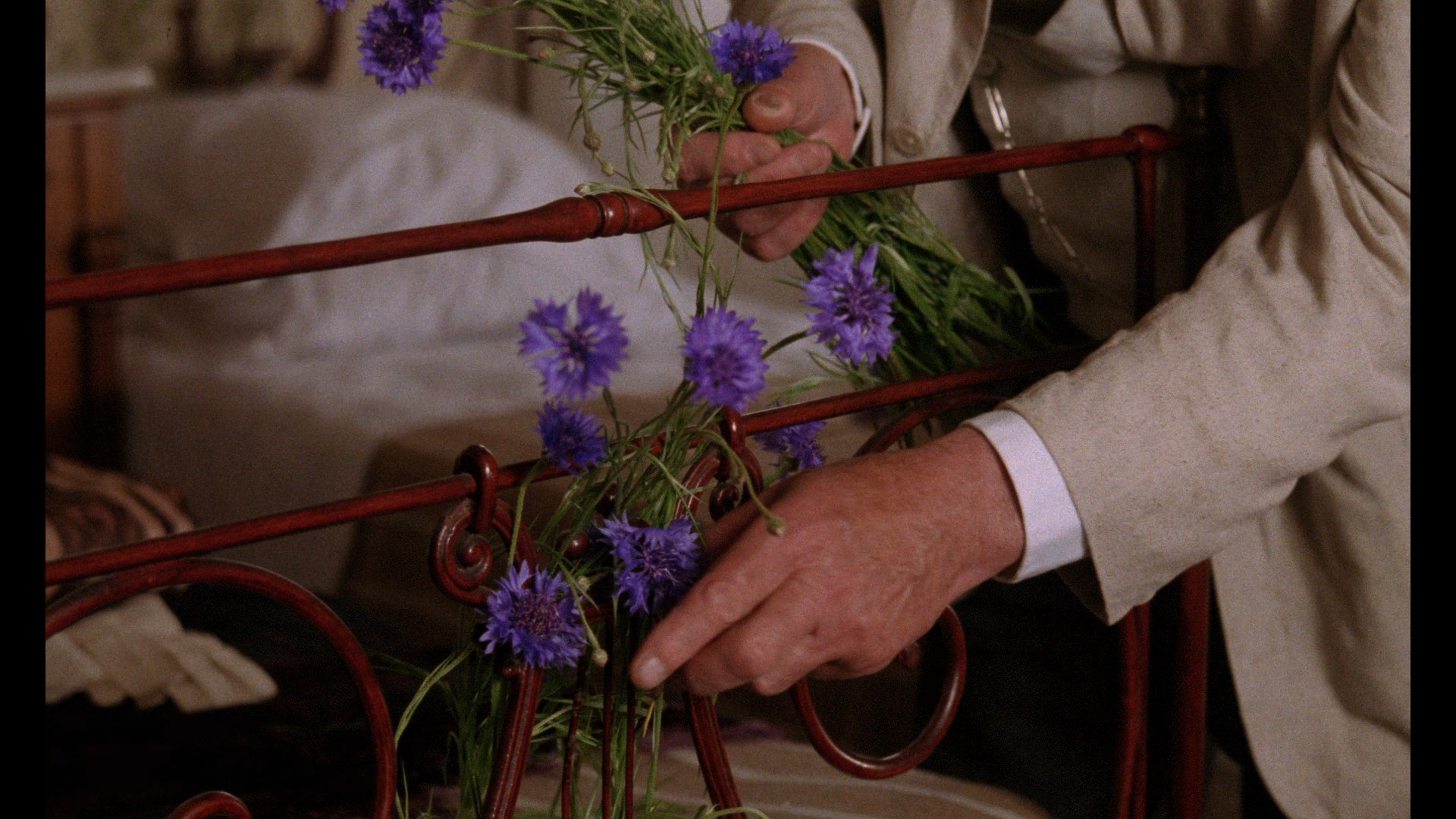 A Room With a View Blu-ray - Maggie Smith
