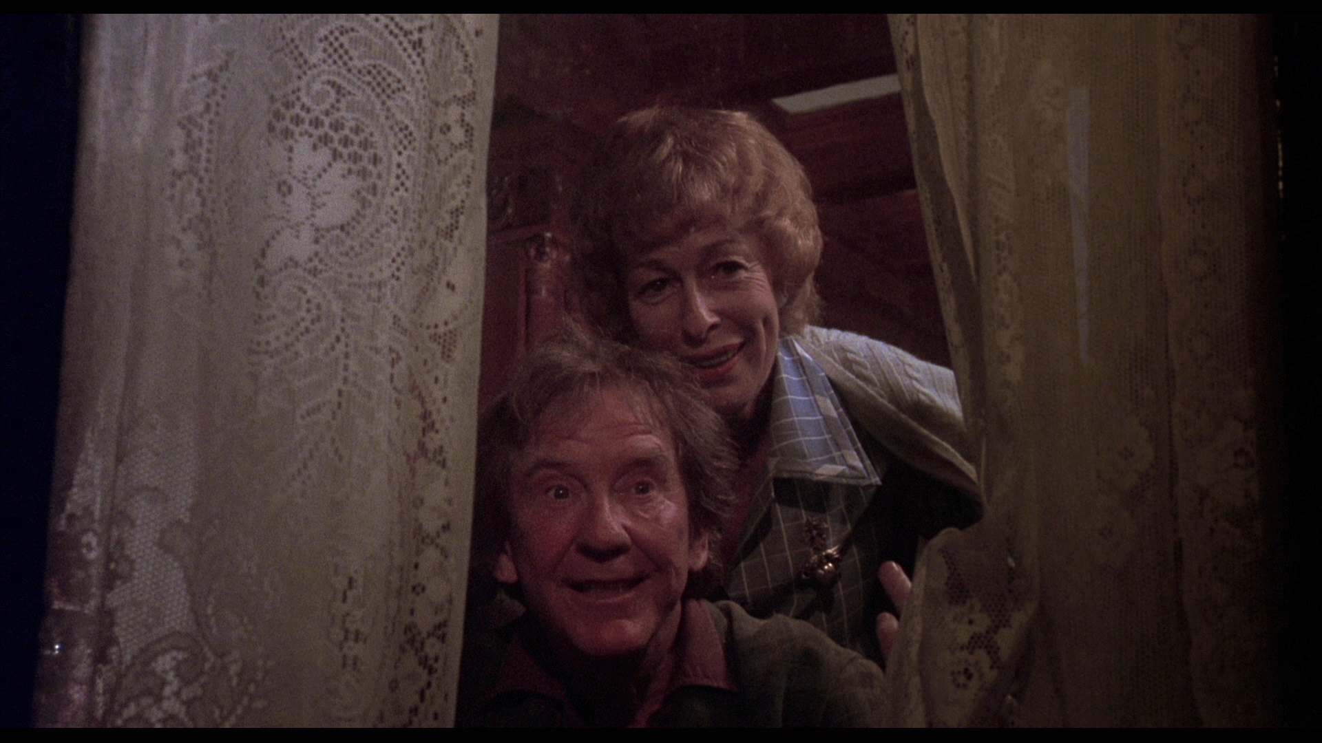 Burnt Offerings Blu-ray - Karen Black