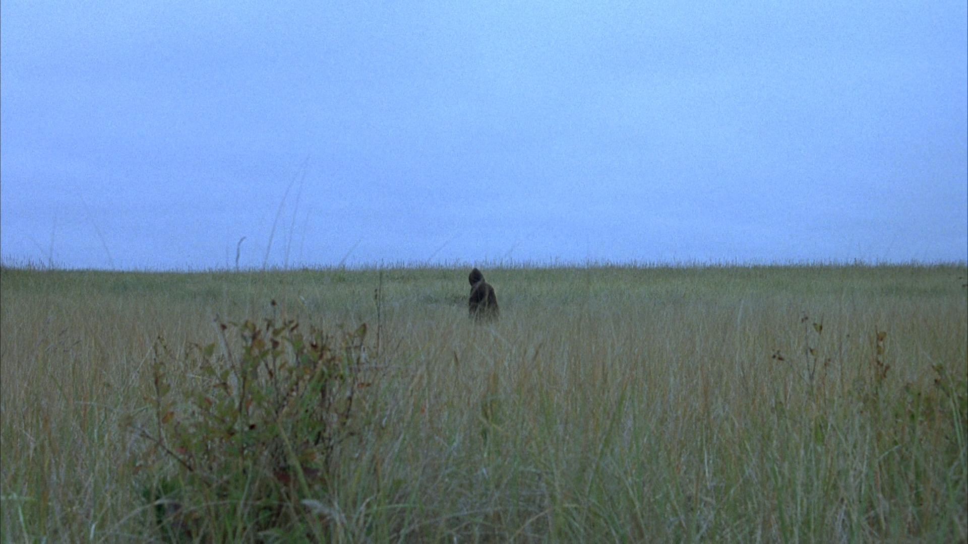 Paranoid Park Paranoid Park