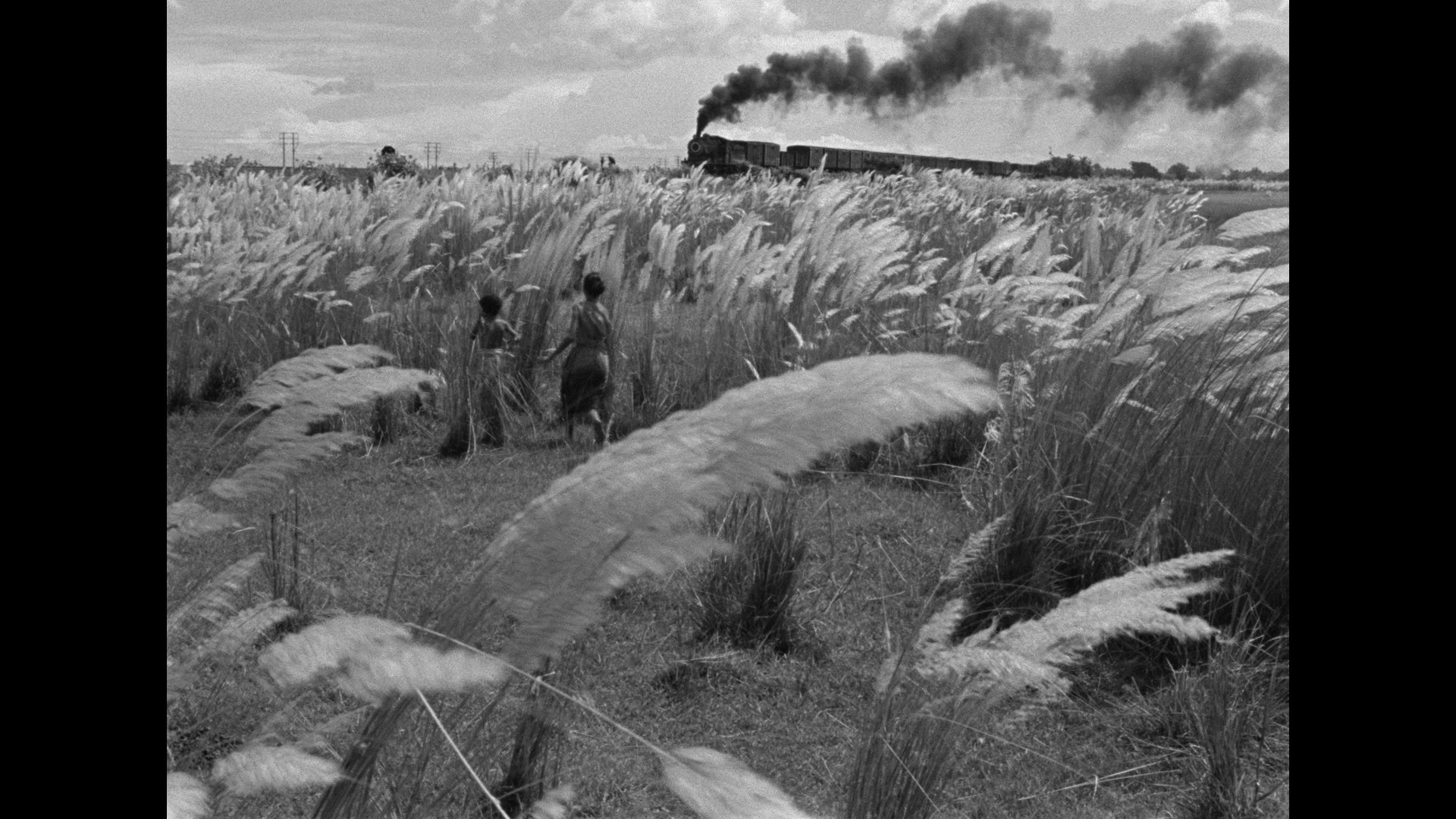 The Apu Trilogy Blu ray Satyajit Ray