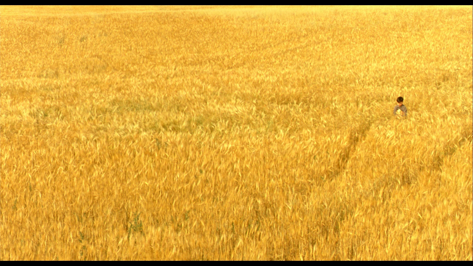 The Reflecting Skin Bluray Viggo Mortensen