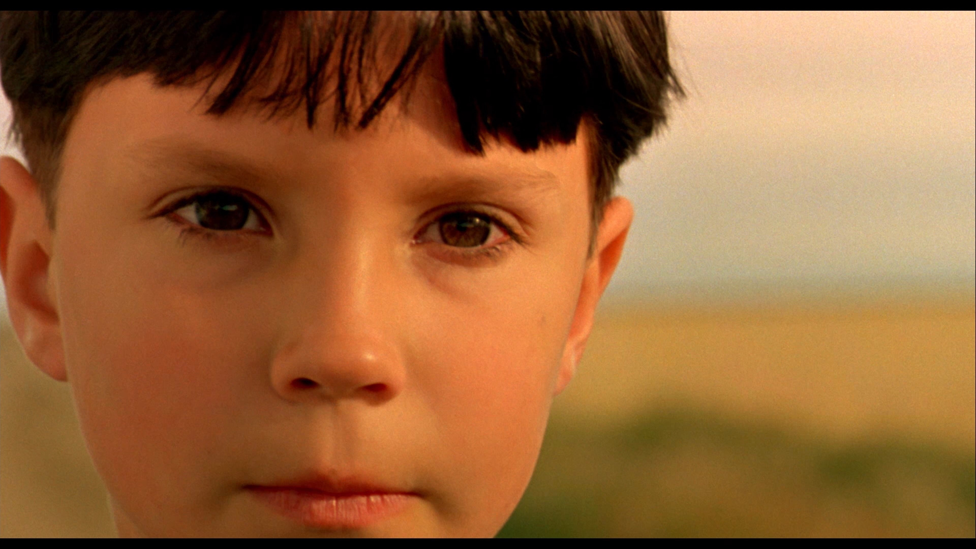 The Reflecting Skin Bluray Viggo Mortensen