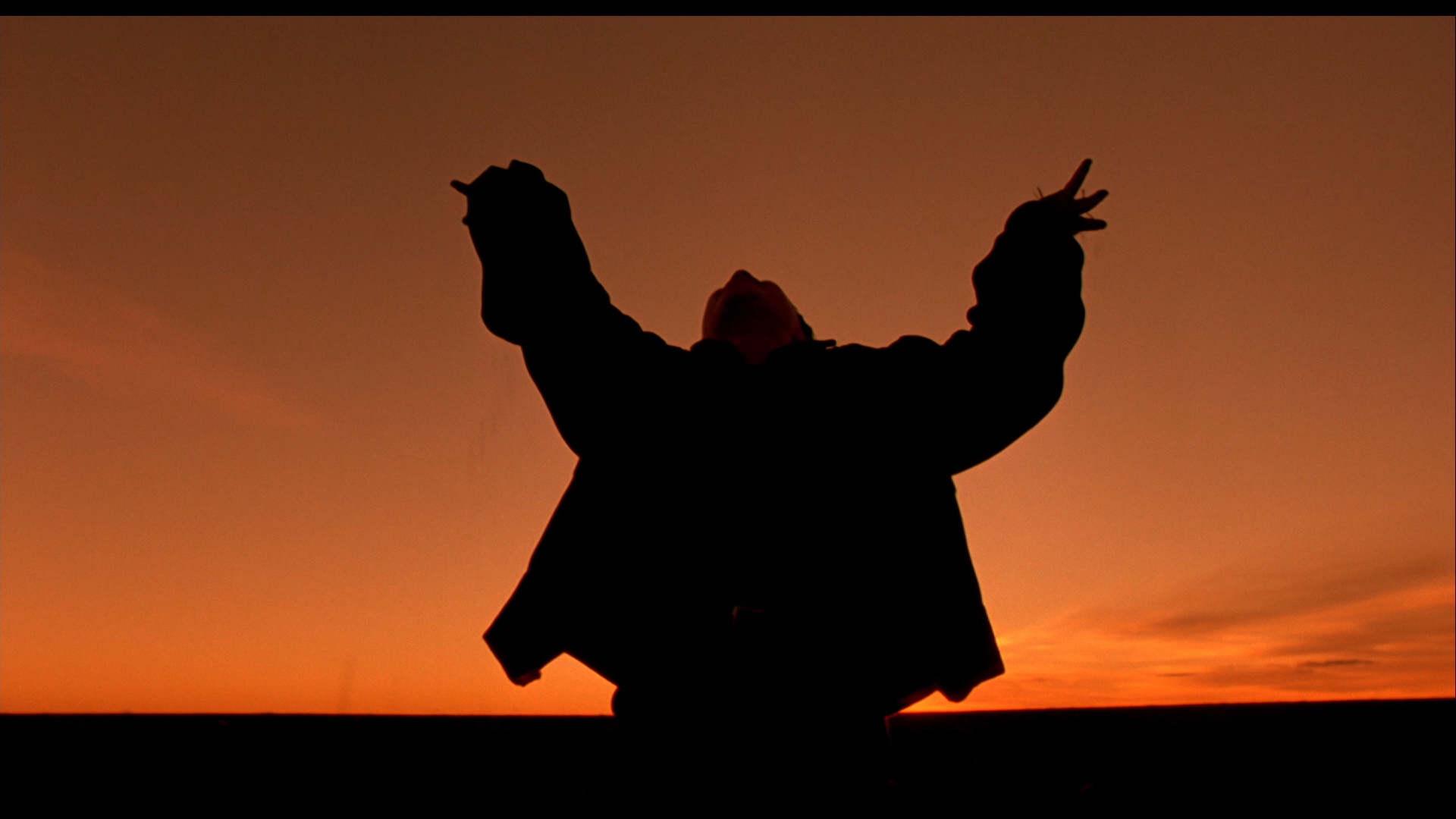 The Reflecting Skin Bluray Viggo Mortensen