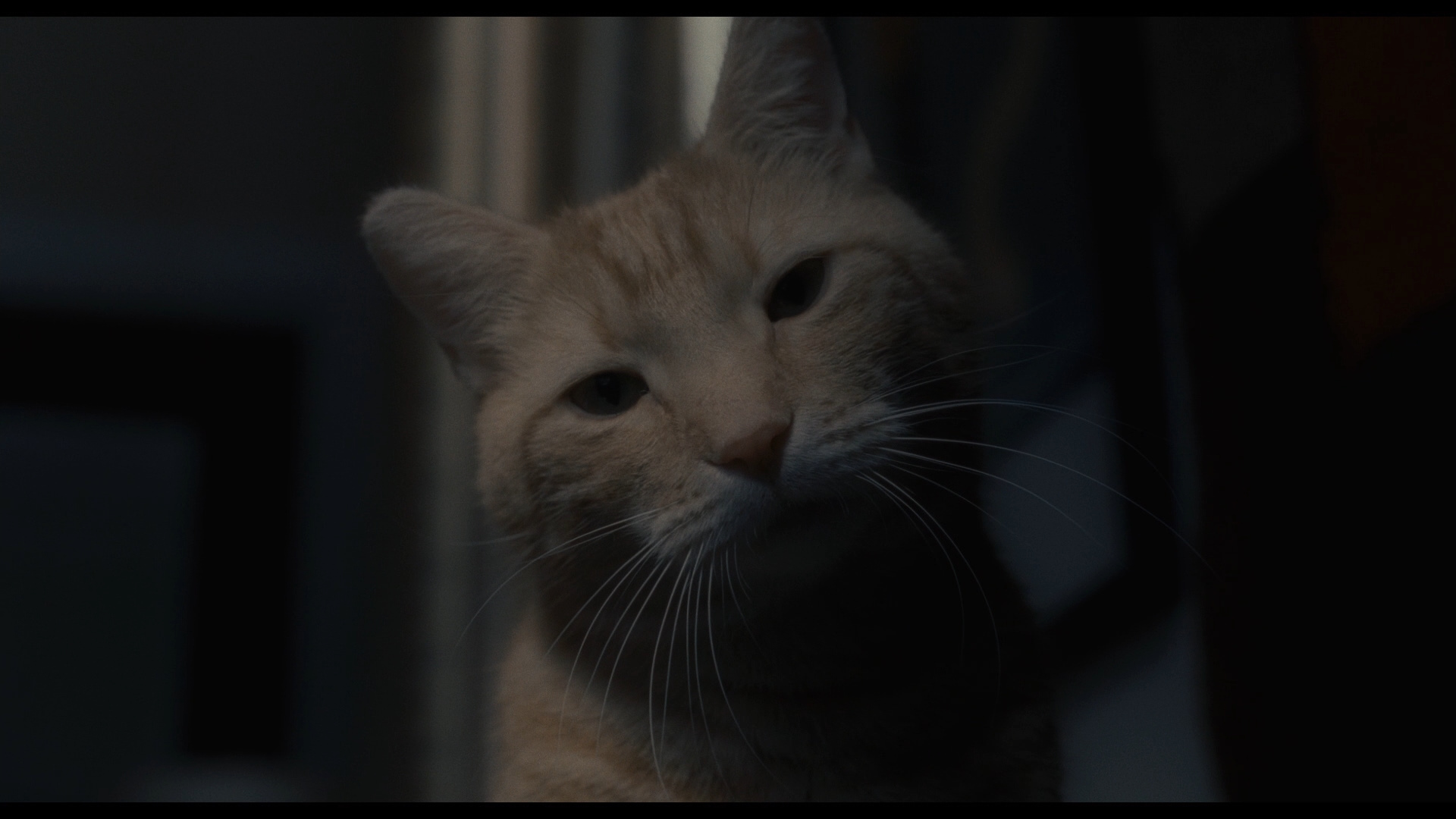 Inside Llewyn Davis Blu Ray Oscar Isaac