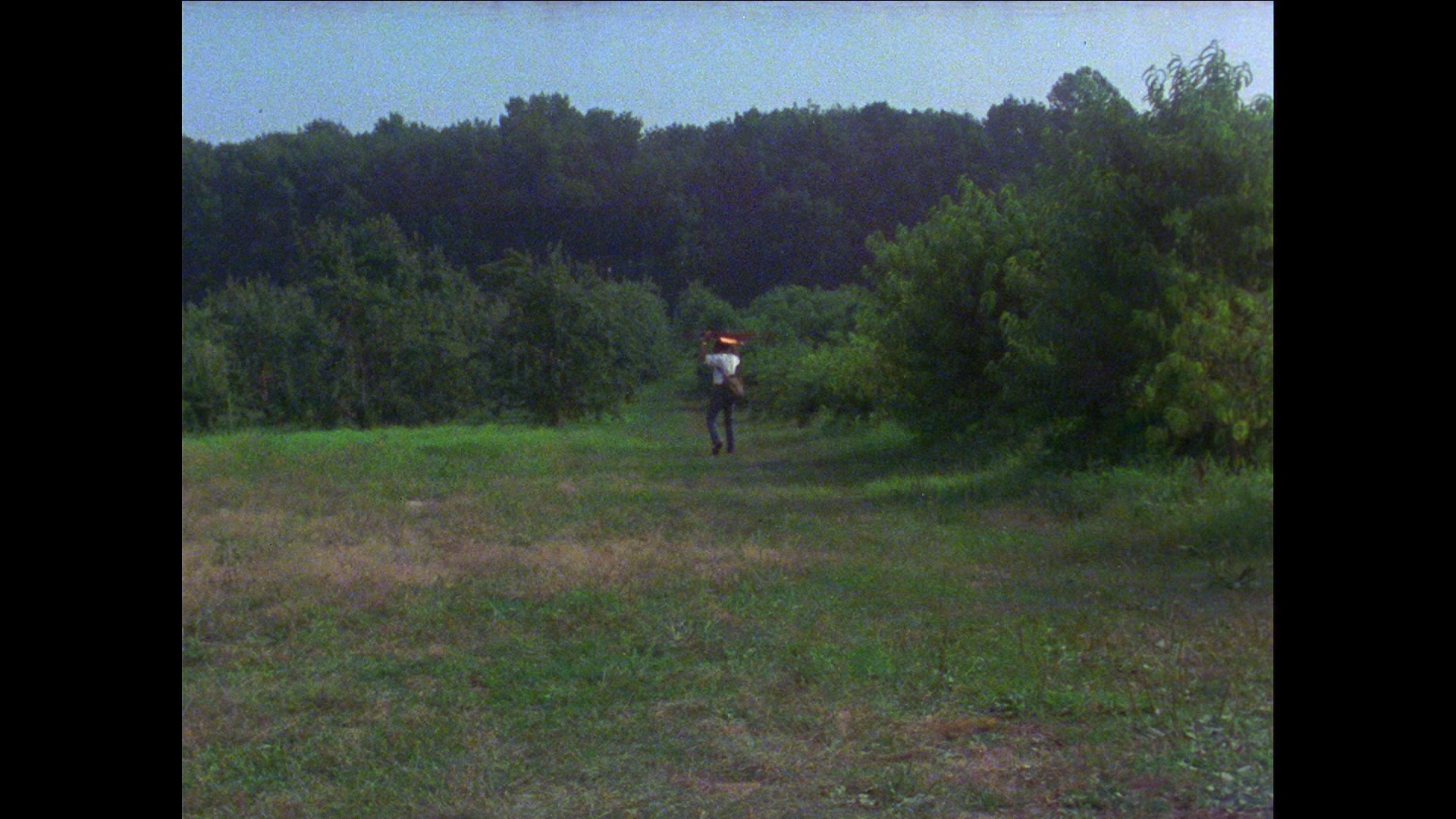 Losing Ground Bluray Seret Scott