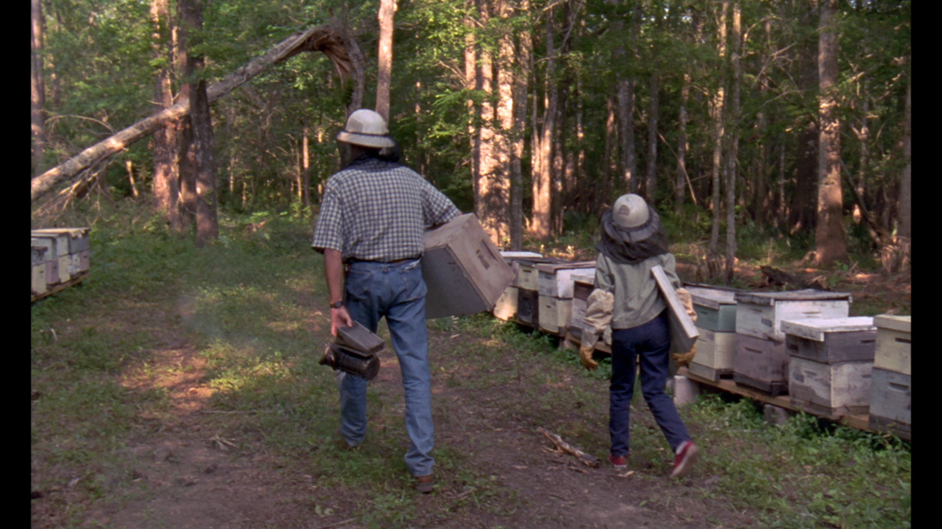 Ulee #39 s Gold Blu ray Peter Fonda