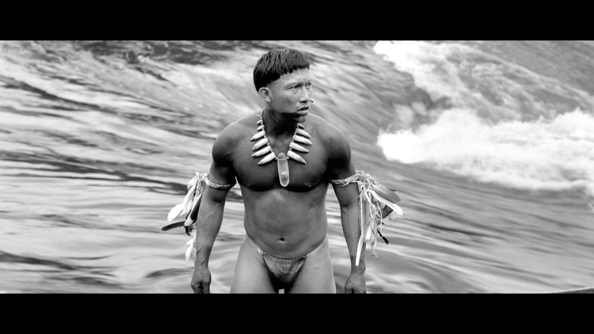 Embrace Of The Serpent Blu Ray Nilbio Torres Embrace of the serpent movie free online. dvdbeaver