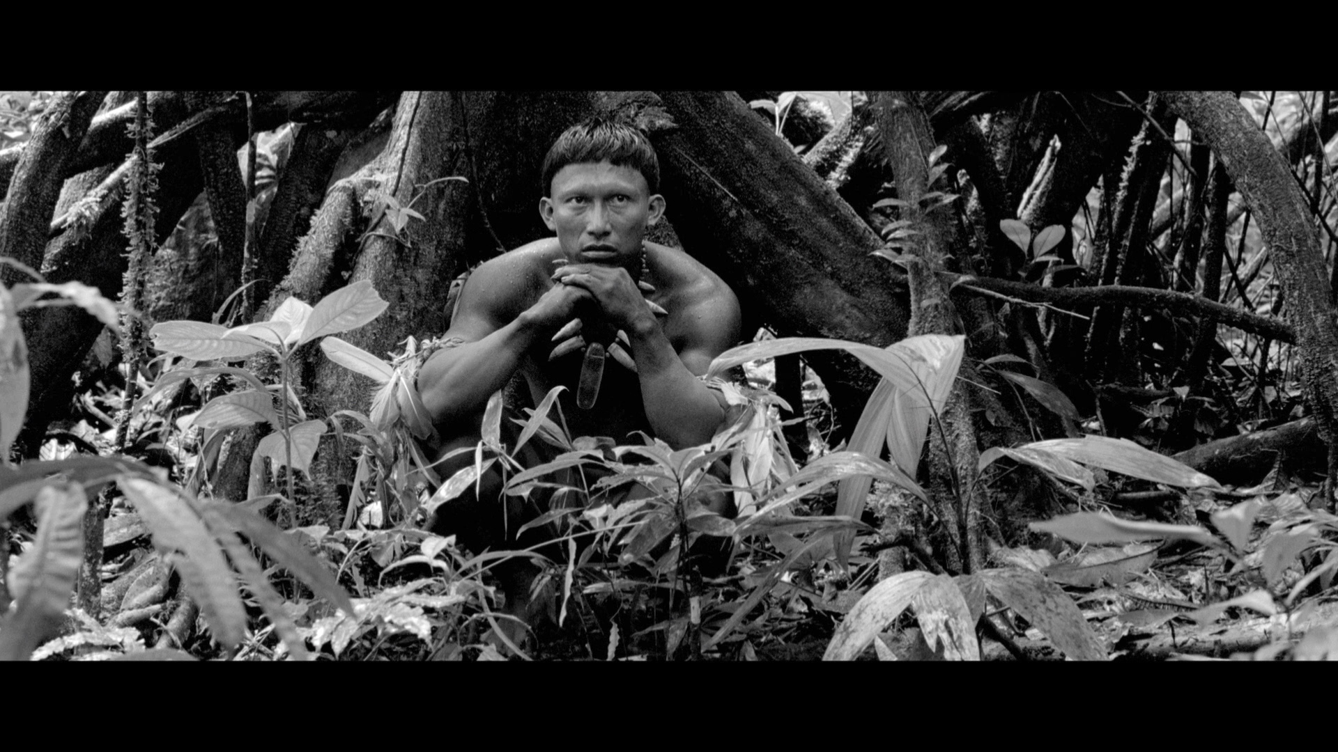 embrace of the serpent dvd click each bluray capture to see all images in full 1920x1080 resolution embrace of the serpent bluray nilbio torres embrace of the serpent dvd click each bluray capture to see all images in full 1920x1080 resolution embrace of the serpent bluray nilbio torres