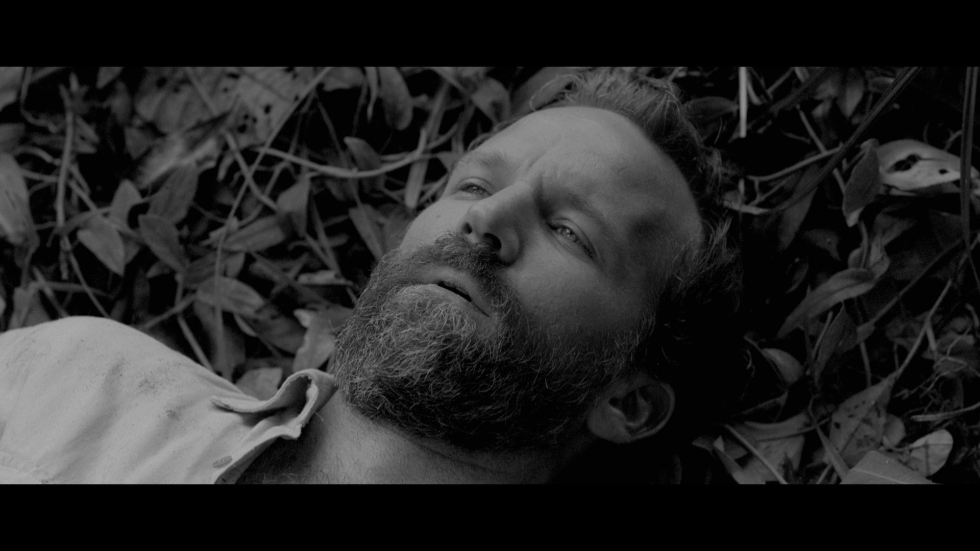 embrace of the serpent art embrace of the serpent bluray nilbio torres embrace of the serpent art embrace of the serpent bluray nilbio torres