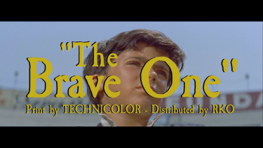 The Brave One Blu-ray - Michel Ray