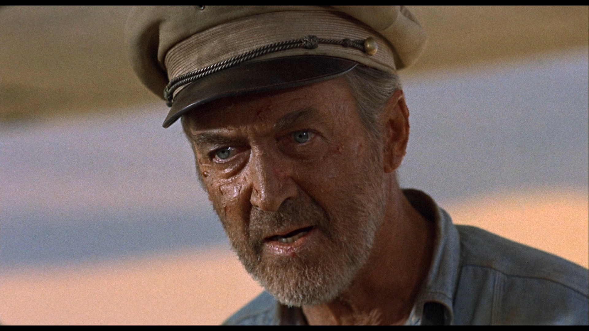 The Flight Of The Phoenix Blu Ray Jimmy Stewart