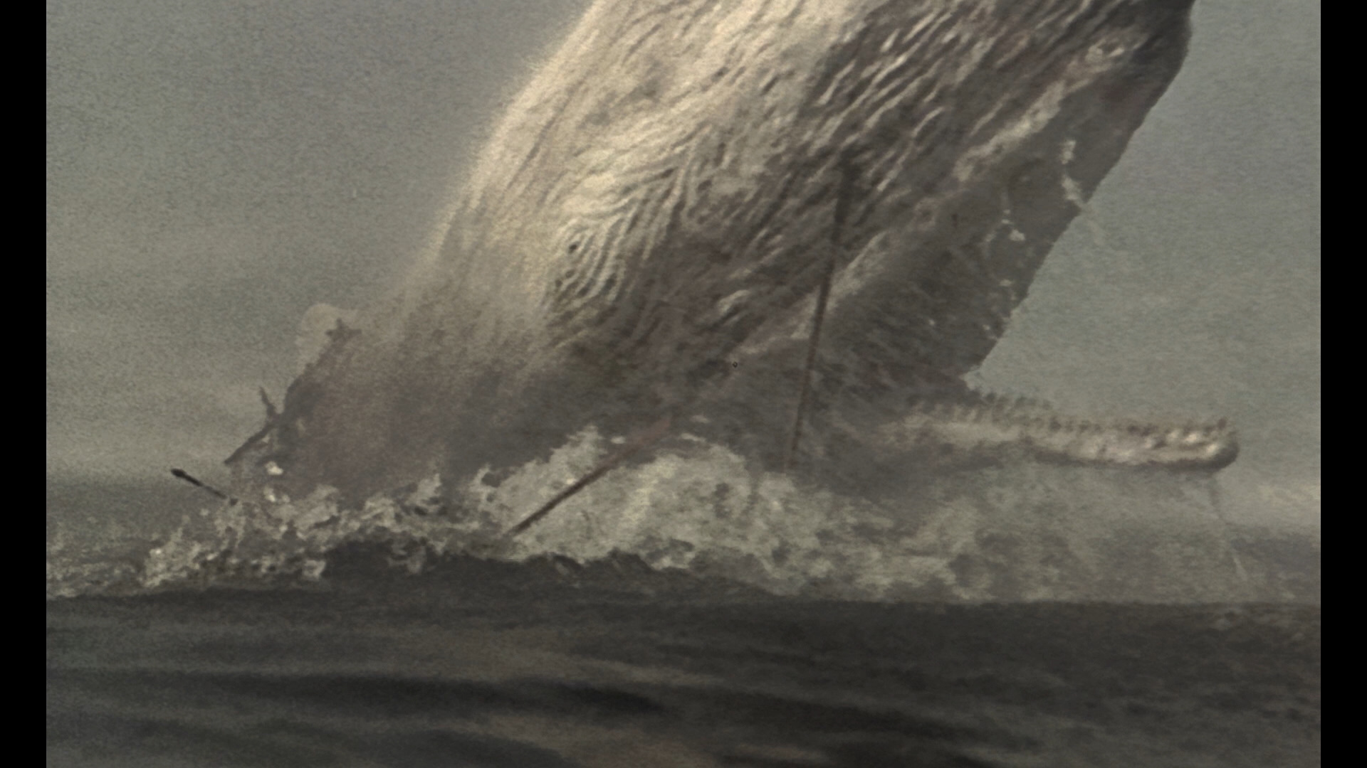 Moby Dick Blu Ray Gregory Peck