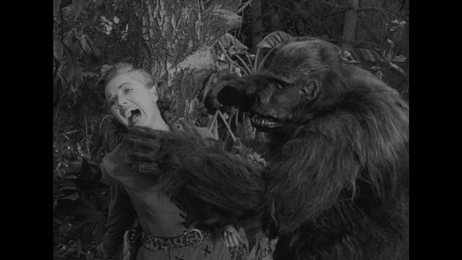 Panther Girl of the Kongo Blu-ray - Phyllis Coates