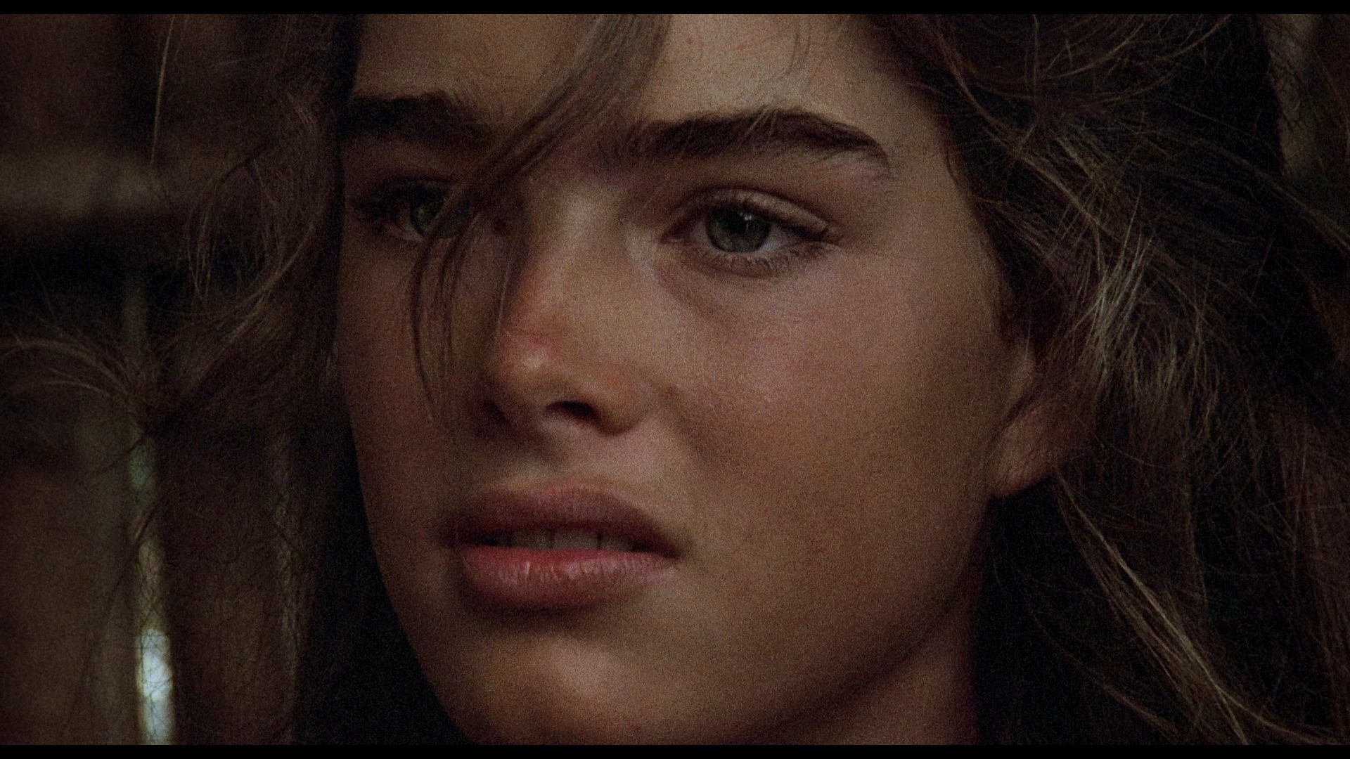 The Blue Lagoon Bluray Brooke Shields