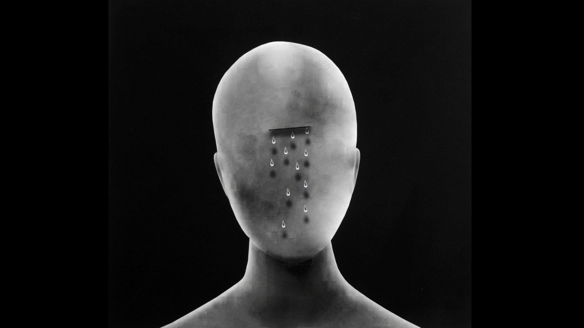 David Lynch The Art Life Bluray David Lynch David Lynch The Art Life Bluray David Lynch