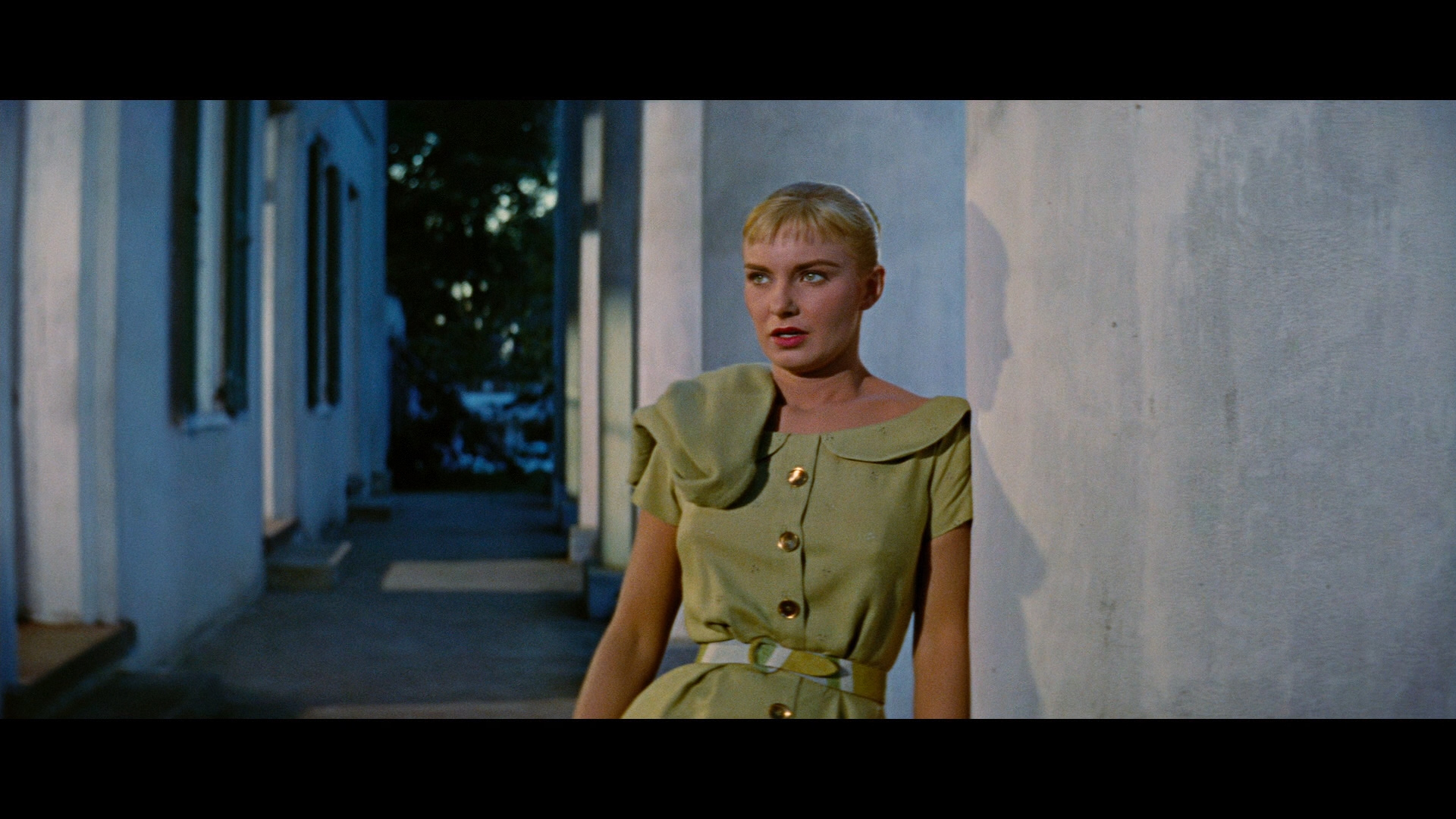 The Long Hot Summer Blu-ray - Paul Newman