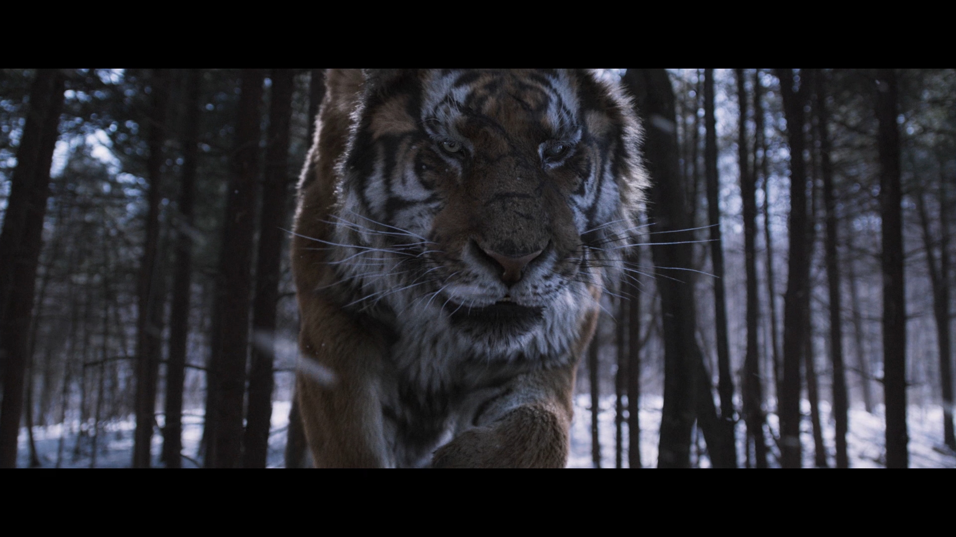 The Tiger An Old Hunter S Tale Blu Ray Min Sik Choi