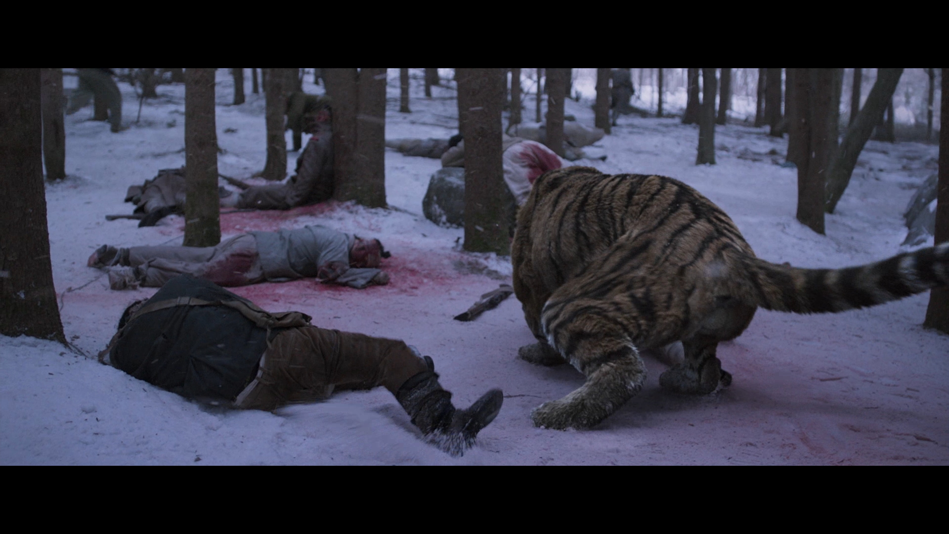 The tiger an old hunter's tale english subtitles on sale