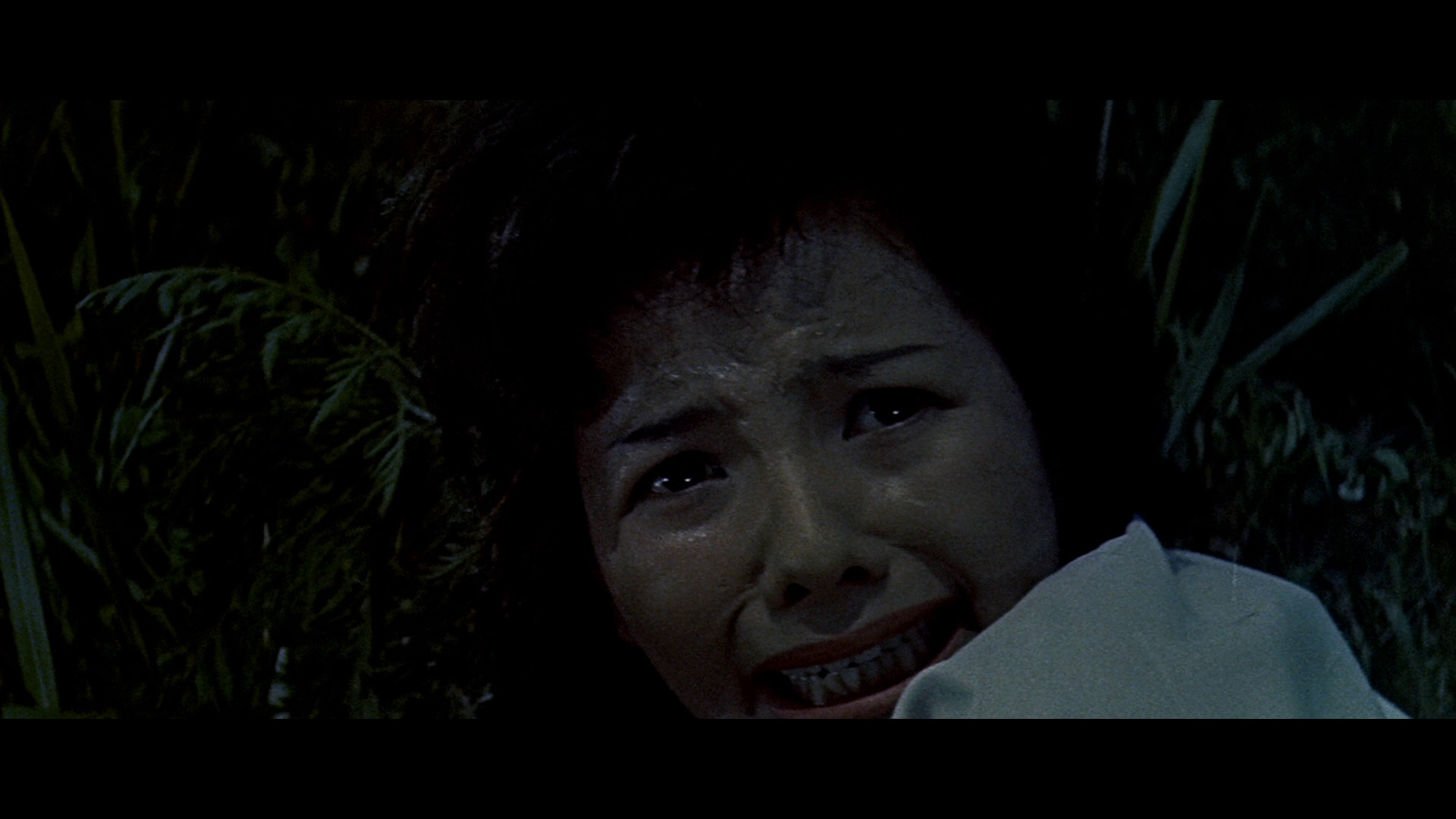 King Kong vs. Godzilla Bluray Mie Hama