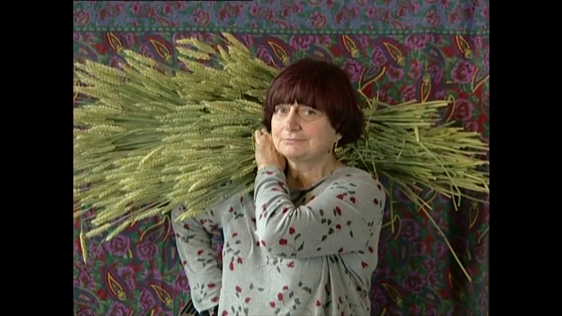the gleaners and i blu-ray - agnès varda