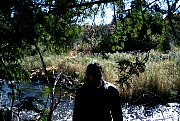 PICT0036.JPG